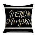 Funda de cojín otoñal negra con estampado Hello Pumpkin e ilustración de calabaza - 45*45cm (Solo funda de almohada) / Eslogan HELLO PUMPKIN (YMF49-2)