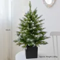 60cm frosted table mini Christmas tree with LED lights and 2.06kg square base - 60cm Potted Tree / Green With Flocked Snow