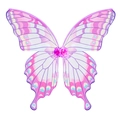 Colorful Easter butterfly wings with purple gradient and floral center for cosplay parties - Adult Style (UGA23047) / Pink