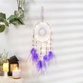 Luminous dream catcher with purple feathers, crystal stones and warm LED lights - Finished Amethyst Snow (already Wrapped With Lamps)