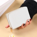 Close-up of light blue pebbled leather card holder with double golden zippers held in hand - White