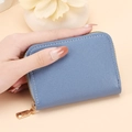 Minimalist morandi blue leather card holder with secure gold zipper closure - Blue