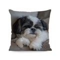 Detailansicht des weichen Shih-Tzu-Welpendrucks auf einem quadratischen Plüsch-Kissenbezug - Shih-Tzu-Druck (Stil-9) / 45*45 Superweich