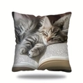 Close-up of soft short plush cushion featuring a cute sleeping kitten on a book print - Book Kitten Color Print Style (款式-18) / 45*45 Super Soft