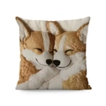 Detailansicht von zwei süßen Corgi-Hunden auf weichem Plüsch-Kissenbezug für Sofa - Kuschelndes Corgi-Druck-Design (Stil-20) / 45*45 Superweich