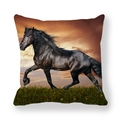 Detailed view of square pillowcase featuring a majestic black horse running at sunset - Black Horse Running On Grass Sunset (3)