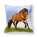 Detailed texture of thick peach skin pillowcase with a running horse on green grass - Realistic Brown Horse In Green Meadow (28)