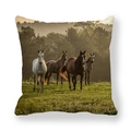 Detailed close-up of running horses print on high-quality peach skin pillowcase - Realistic Multiple Color Horses On Lawn (30)