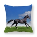 Close-up detail of high-definition black running horse print on square peach skin pillowcase - Realistic Black Horse With Blue Sky (32)