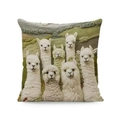 Square throw pillow cover with 3D alpaca embroidery pattern on green background - Alpaca Group Style (款式-3) / 45*45 Super Soft