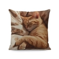 Deko-Kissenbezug aus kurzem Plüsch mit süßem schlafendem orangefarbenem Katzenmotiv - Schlafende orange Katze Stil (Stil-5) / 45*45 Superweich