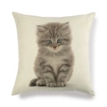 Détail de la housse de coussin en lin carré avec imprimé chaton gris réaliste et yeux bleus - Carré / Style Chaton Gris à Poils Longs (2)