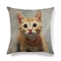 Détail de la housse de coussin en lin avec imprimé chaton orange vif et texture tissée - Carré / Style Chaton Orange (4)