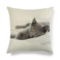 Gros plan sur la texture du lin avec un imprimé chat mignon sur la housse de coussin - Carré / Style Chat Gris Paresseux Gros Plan (6)