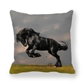 Square pillowcase with a powerful running black horse print on thick peach skin fabric - Realistic Black Horse On Grass (23)