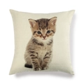 Fodera per cuscino in lino minimalista con simpatico gattino soriano su sfondo beige - Quadrato / Stile Gattino Tabby a Corpo Intero (22)