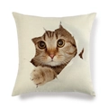 Housse de coussin en lin minimaliste avec imprimé chat tigré 3D sur fond beige - Carré / Style 3D Chat Tigré Unique Traversant (3)