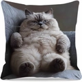 Kurzplüsch-Kissenbezug mit flauschigem Katzenmotiv für Sofa-Deko und Komfort - Ragdoll-Katze Fauler Print Design (Stil-23) / 45*45 Superweich