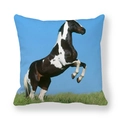 Peach skin square pillowcase featuring a majestic galloping horse on a landscape background - Realistic Spotted Horse Jumping (36)