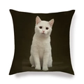 Housse de coussin en lin minimaliste avec imprimé tête de chat blanc sur fond noir - Carré / Style Chat Blanc Yeux Oranges Gros Plan (14)