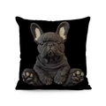 Deko-Kissenbezug aus Kurzplüsch mit niedlichem Französische Bulldogge-Print auf Schwarz - Schwarzer Hintergrund Französische Bulldogge 3D-Stil (Stil-33) / 45*45 Superweich