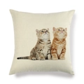 Housse de coussin minimaliste en lin avec motif mignon de deux chatons sur fond blanc - Carré / Style Deux Chats Regardant en Haut (16)