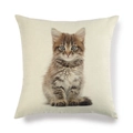 Housse de coussin en lin minimaliste avec un motif de chat gris réaliste - Carré / Style Chat Réaliste Gris Brun (17)