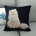 Linen square throw pillow cover featuring a realistic white Persian cat on black background - Square / White Long-haired Cat Close-up