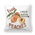 Peach themed decorative pillow cover in thick peach skin fabric with vintage print - Vintage Peach Style