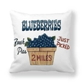 Autumn harvest blueberry fruit pattern on white peach skin velvet throw pillow cover - Vintage Blueberry Style