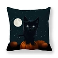 Halloween pillowcase featuring a black cat, full moon, and pumpkins on white background - Starry Sky Cat and Pumpkins (Style 6) / 18x18 Inch