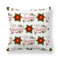 Macro shot of peach skin fabric texture with red poinsettia and Christmas print - Poinsettia Berry Decoration Style (20)