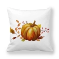 Detail shot of fall pumpkin and autumn leaves printed on soft peach skin pillow case - Autumn Pumpkin Fallen Leaves Illustration (15)