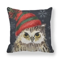 Christmas owl watercolor pillowcase with peach skin velvet and winter snowflake pattern - Striped Hat Owl (5)