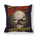 Halloween decorative pillowcase with spooky skull and Happy Halloween Party print - Funny Skull Holiday Print (15)
