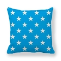 Detail of light blue peach skin cushion cover with white star pattern and soft texture - 45*45cm (No Core) / Light Blue
