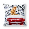 Peach skin pillowcase featuring a cat on a red mailbox in a snowy winter forest - Cat on Mailbox and Snow Forest Style (8)