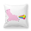 Square white pillowcase featuring a cute pink alpaca and rainbow fart cartoon design - 18x18 Inch / Rainbow Fart White Alpaca (22)