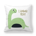 Detail of soft peach skin pillowcase with green cartoon dinosaur and I RAWR YOU print - 18x18 Inch / I Rawr You Dinosaur Style (22)