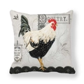 Close-up of peach skin fabric pillowcase featuring vintage rooster farm poultry illustration - 45x45cm / Realistic Rooster Pastoral Lace Style (8)