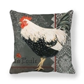Square peach skin pillowcase featuring a vintage rooster design and La Poule script - 45x45cm / Realistic Rooster Vintage Pattern Style (2)
