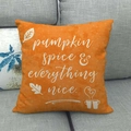 Orange autumn pillow case with Pumpkin Spice text on grey sofa home decor - Orange Pumpkin Spice Style