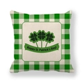 Federa per cuscino St. Patrick in lino con bordo a quadri verdi e trifoglio - Stile Bordo Gingham Happy St. Patrick's Day (13)