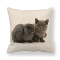 Close-up of linen pillowcase with cute gray bunny and kitten print on cream fabric - Realistic Lop-eared Rabbit and Kitten (17) / 18x18 Inch