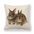 Detailed close-up of rabbit print on a square linen throw pillow with fabric texture - Two Brown Realistic Baby Rabbits (18) / 18x18 Inch