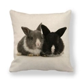 Linen pillowcase with realistic double rabbit photography print on beige fabric - Realistic Photography of Two Rabbits (5) / 18x18 Inch