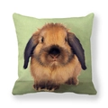 Easter rabbit pattern cushion cover in light green linen fabric for home decor - Realistic Lop-eared Rabbit On Pale Green Background Style (19) / 45x45cm