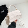 Minimalist white faux crocodile leather handbag with woven handle and small pouch - Off White