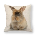 Detalle de funda de cojín de lino con estampado realista de conejo y textura de tela - Brown Long-haired Rabbit