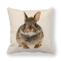 Housse de coussin en lin avec motif de lapin réaliste et texture naturelle sur fond blanc - Lièvre Brun Gris